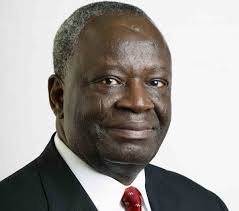 Ambassador Gambari